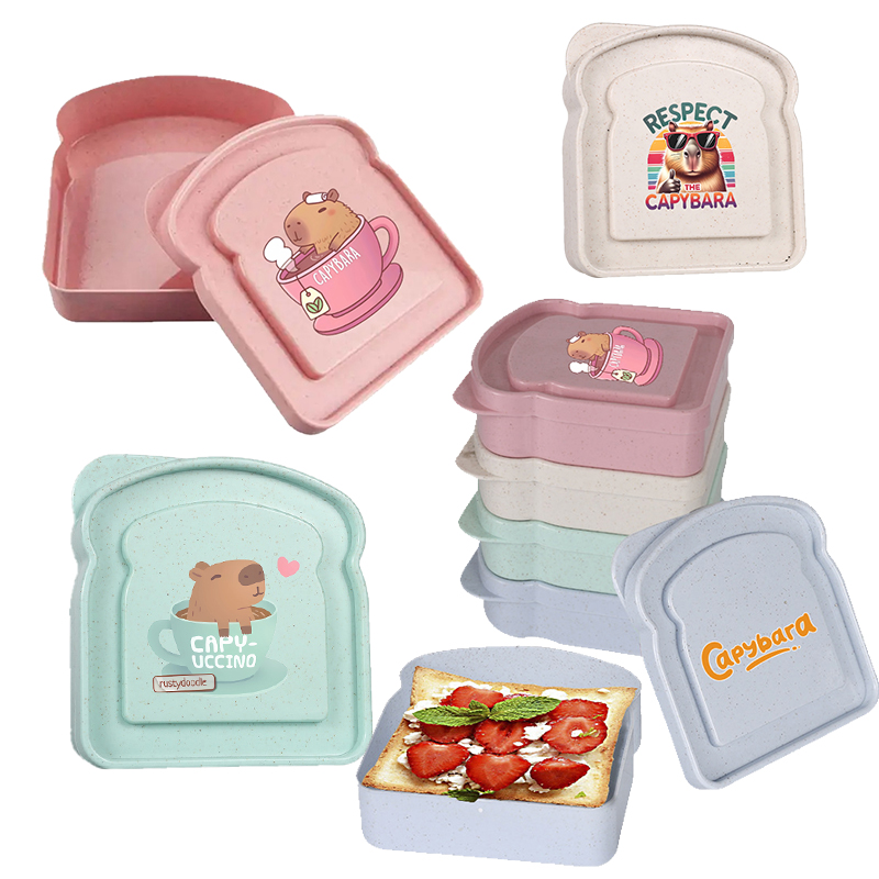 Food Storage Made Easy - กล่องเก็บอาหารลายคาปิบารา สำหรับใส่แซนวิช สลัด ผลไม้ ขนม กล่องอาหารกลางวันแบบมีฝาปิด